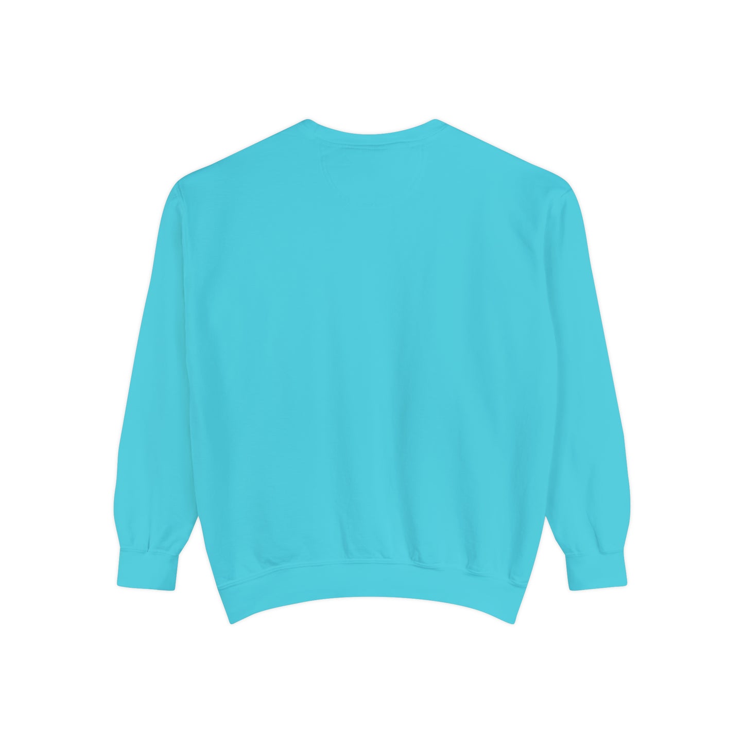 H-Town vs Everyone (HOU Blue) Alt Unisex Comfort Colors Sweatshirt