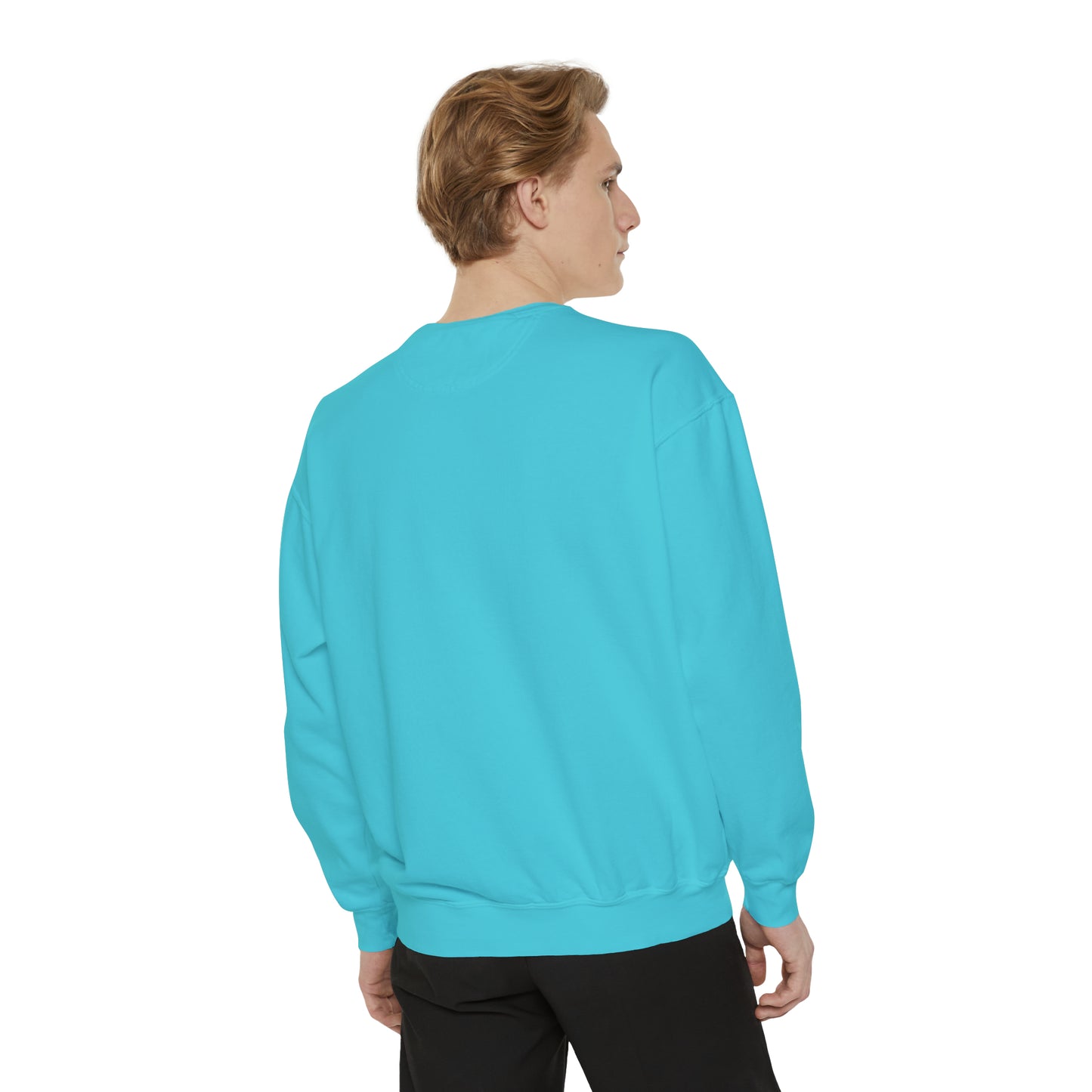 H-Town vs Everyone (HOU Blue) Alt Unisex Comfort Colors Sweatshirt