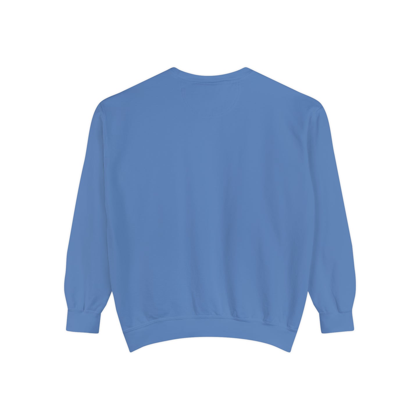 H-Town vs Everyone (HOU Blue) Alt Unisex Comfort Colors Sweatshirt