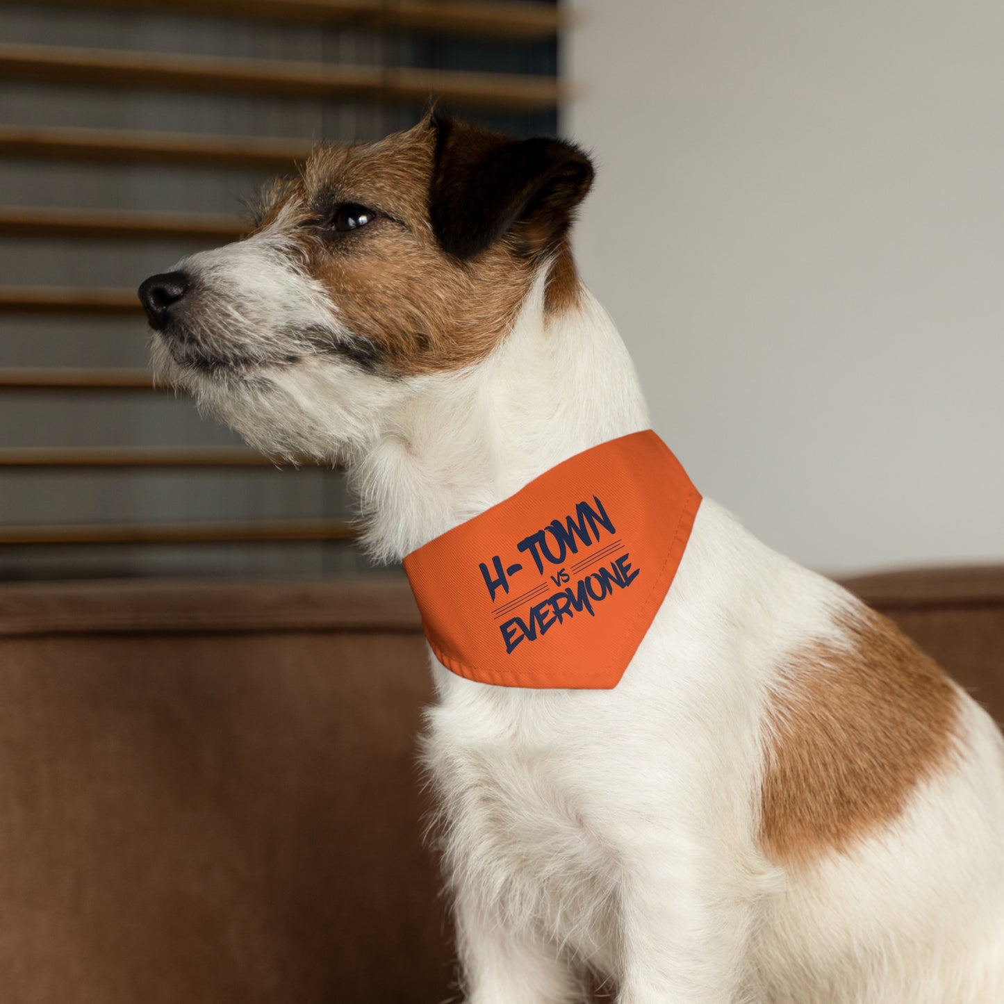H-Town vs Everyone Pet Bandana Collar (orange/navy)