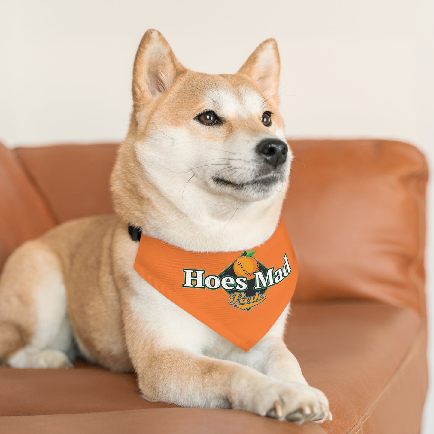 Hoes Mad Pet Bandana Collar
