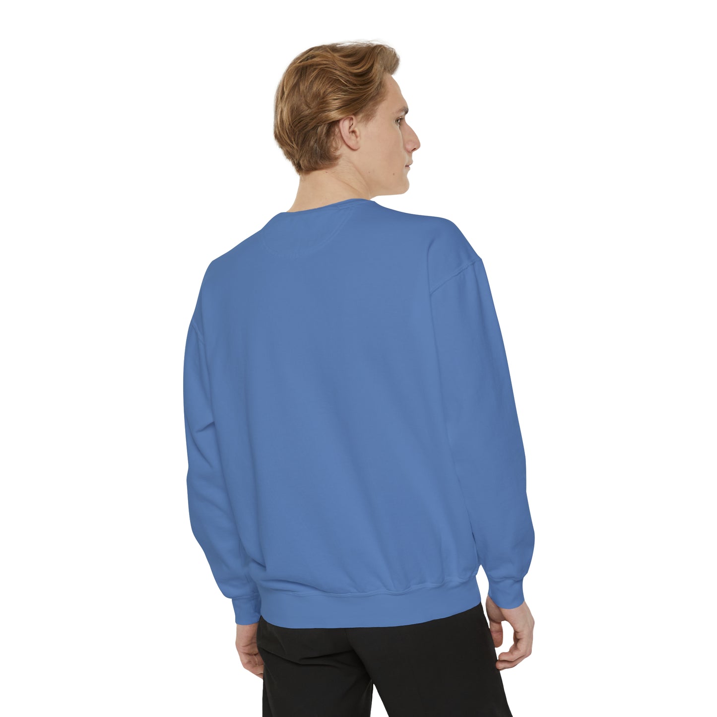 H-Town vs Everyone (HOU Blue) Alt Unisex Comfort Colors Sweatshirt
