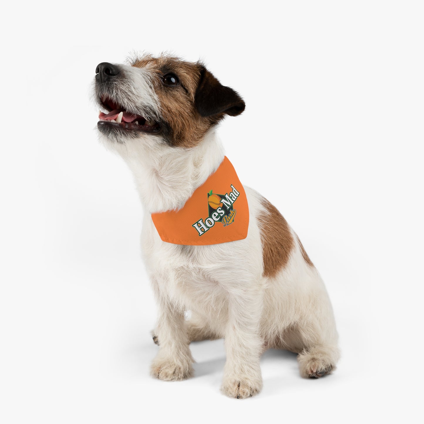 Hoes Mad Pet Bandana Collar