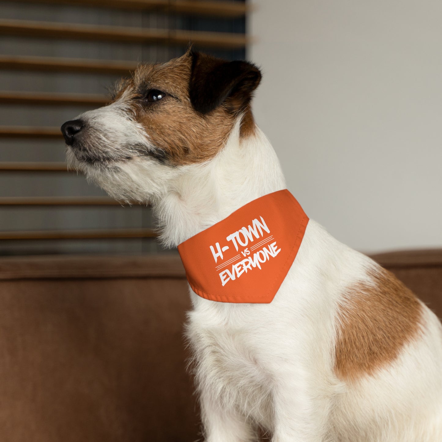 H-Town vs Everyone Pet Bandana Collar (orange/white)
