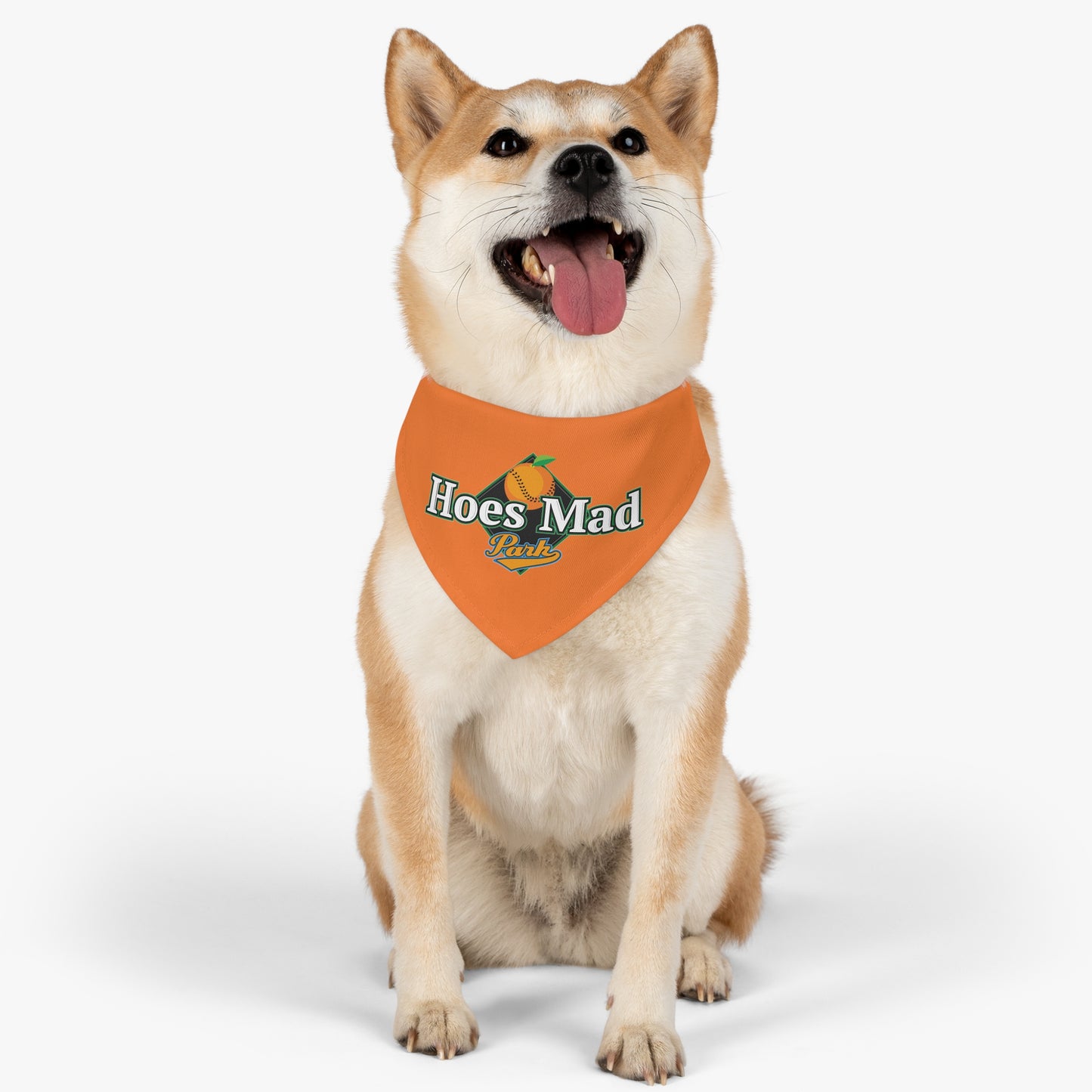 Hoes Mad Pet Bandana Collar