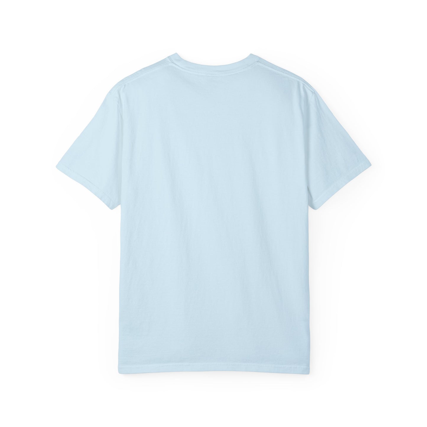 SWARM HOU Unisex Comfort Colors T-shirt