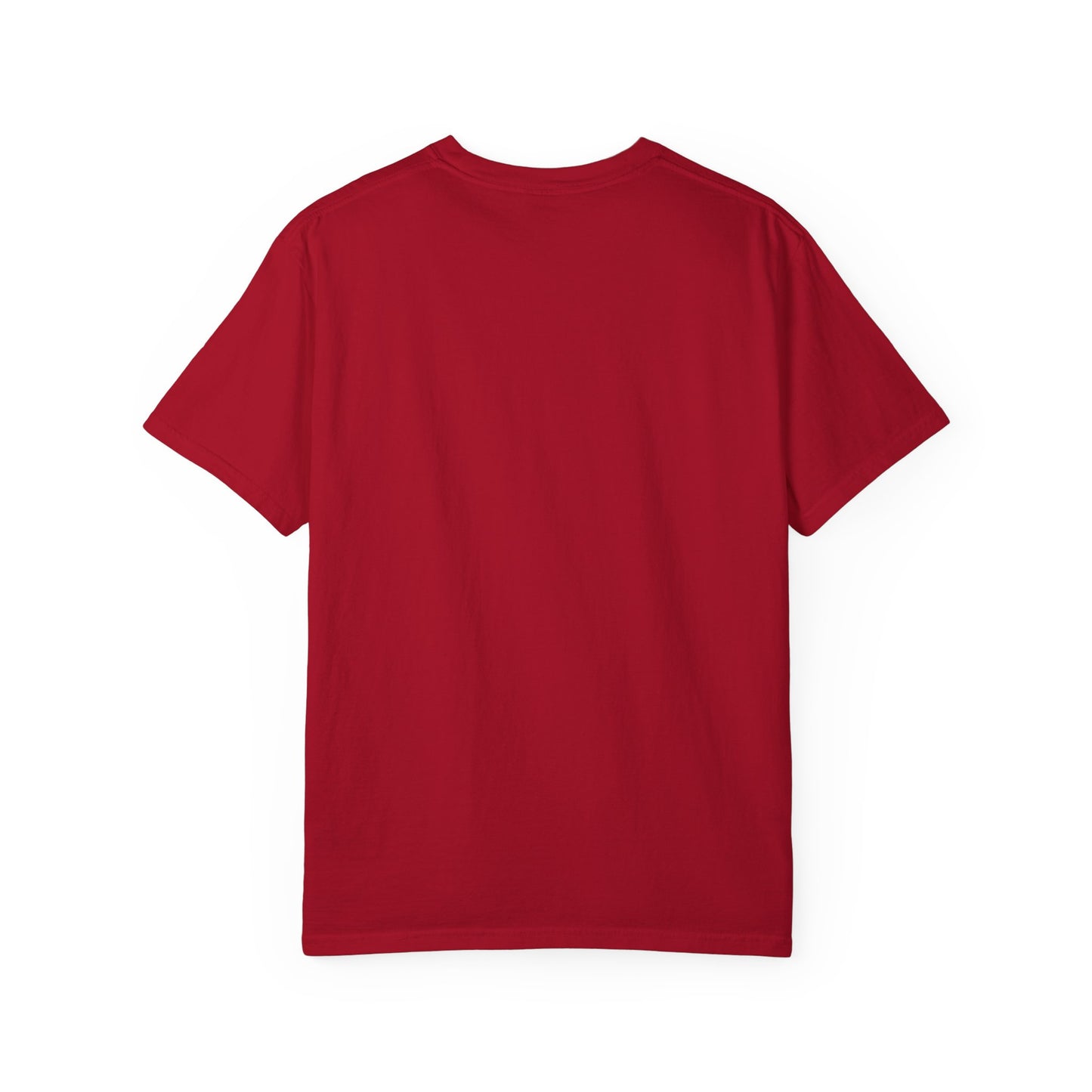SWARM HOU Unisex Comfort Colors T-shirt